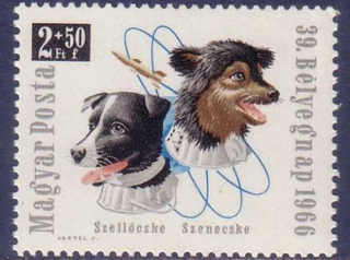 Illustration for article titled Vintage Memorabilia Celebrates The Soviet Union's Cosmonaut Dogs